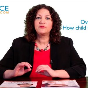 Child Support Overview (U.S.)